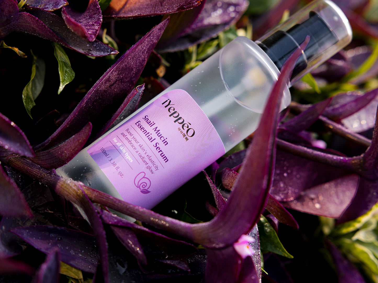 2-Step Glow Routine – Hydration & Brightening Essentials